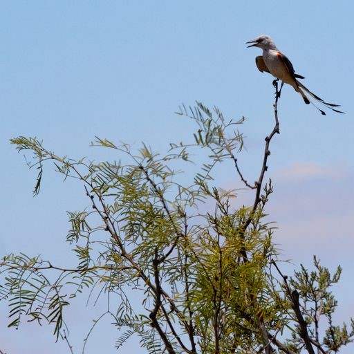 0 Starks Road Mason, TX 76856 - Photo 16 of 32