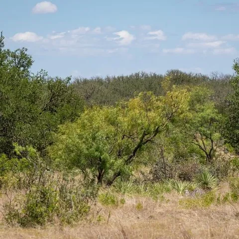 a view of beach and ocean