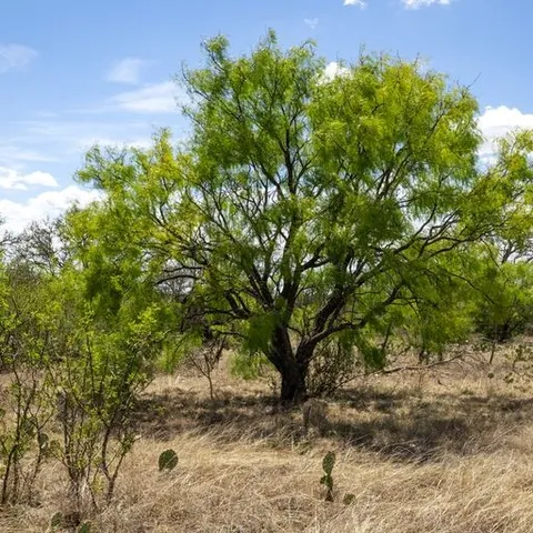 a view of a lake with houses in the background