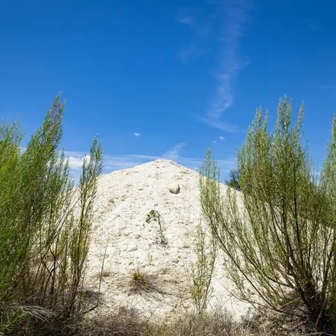 a car parked in the middle of a forest