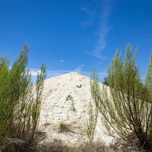 0 Starks Road Mason, TX 76856 - Photo 24 of 32 a view of a yard