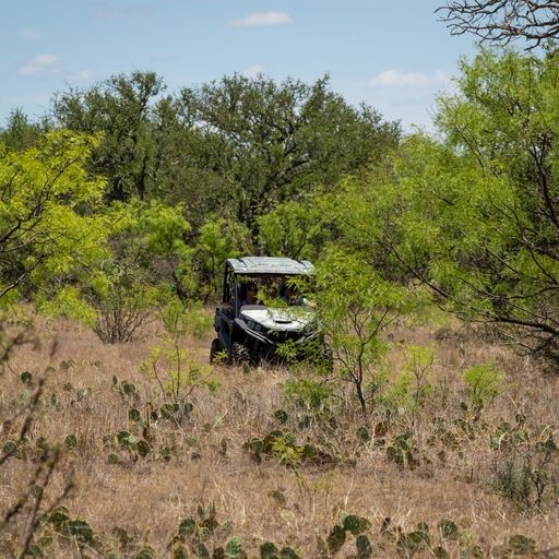 0 Starks Road Mason, TX 76856 - Photo 30 of 32 a car parked in the middle of a forest