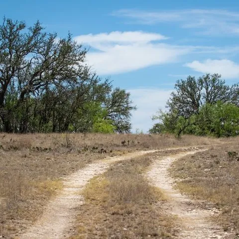 a view of a dirt road with trees in the background