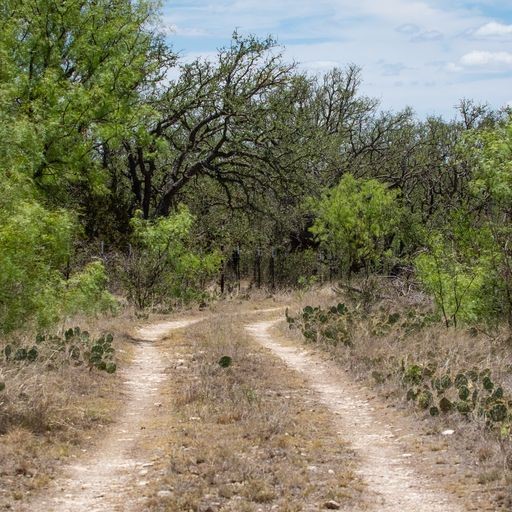 0 Starks Road Mason, TX 76856 - Photo 5 of 32 a view of a dirt road with trees in the background
