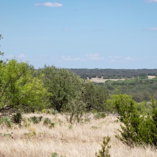 0 Starks Road Mason, TX 76856 - Photo 8 of 32 a view of a field of grass and trees