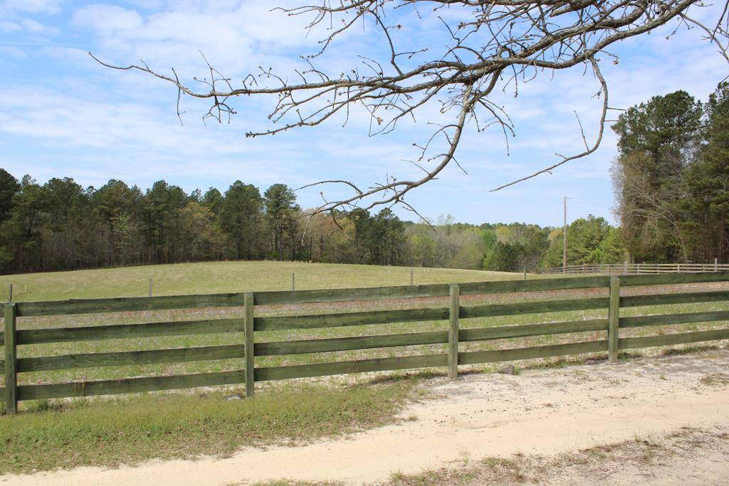 196 Paul Road Monetta, SC 29105 - Photo 5 of 27