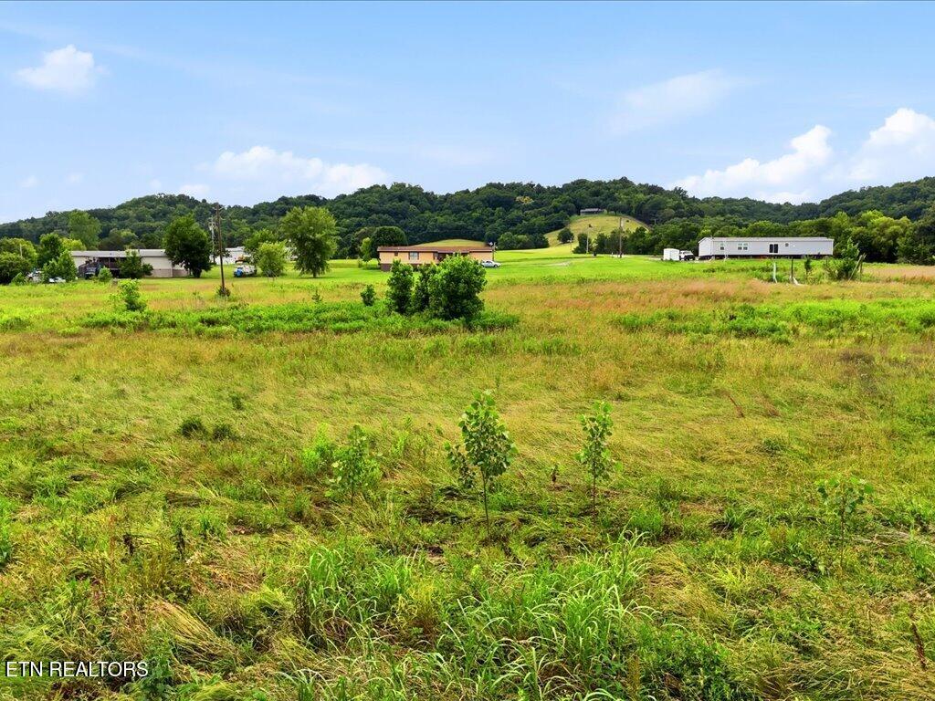 0 Appian Road Bybee, TN 37713 - Photo 15 of 29 Appian Way - 15