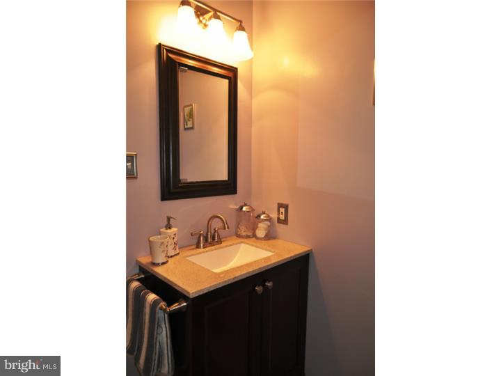 258 Valley Stream Lane Chesterbrook, PA 19087 - Photo 16 of 25 Master Bathroom