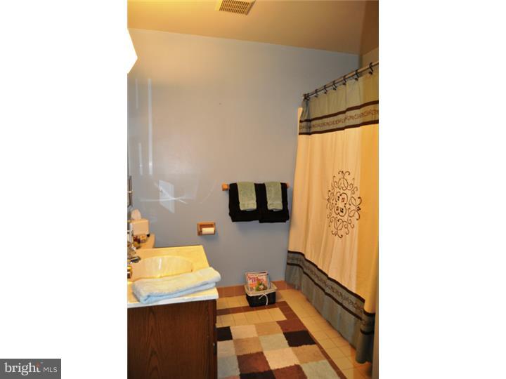 258 Valley Stream Lane Chesterbrook, PA 19087 - Photo 19 of 25 Bathroom