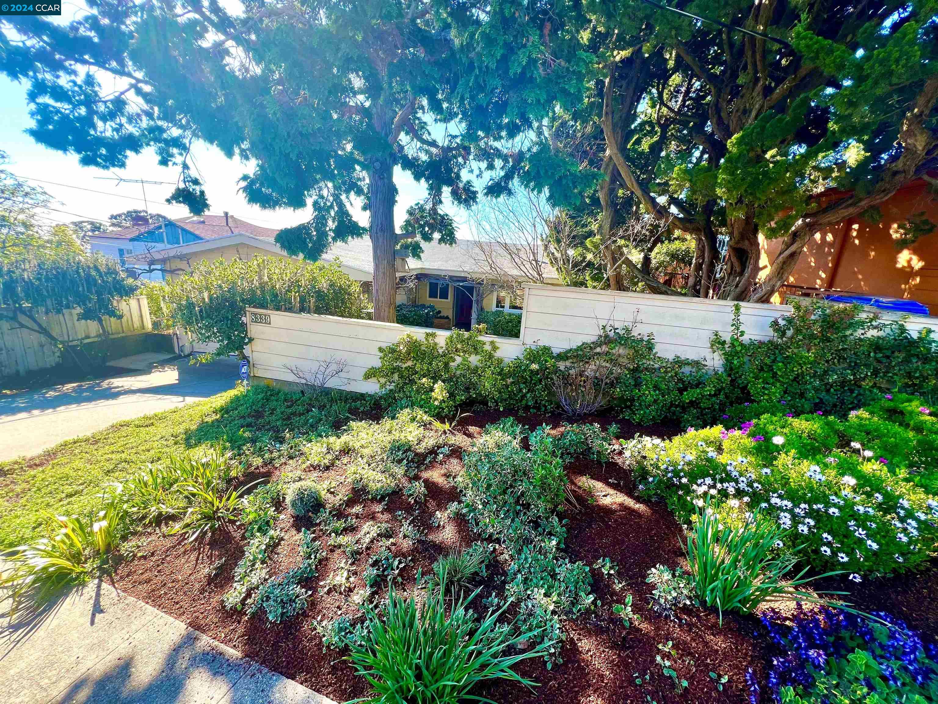 a view of a garden with plants