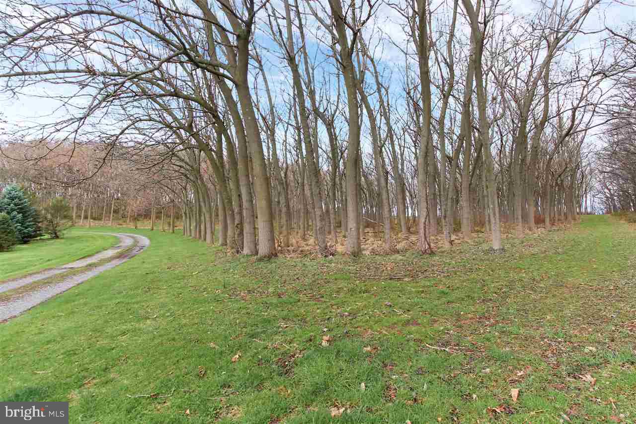 4406 Steltz Road New Freedom, PA 17349 - Photo 34 of 36 Gallery Image 34