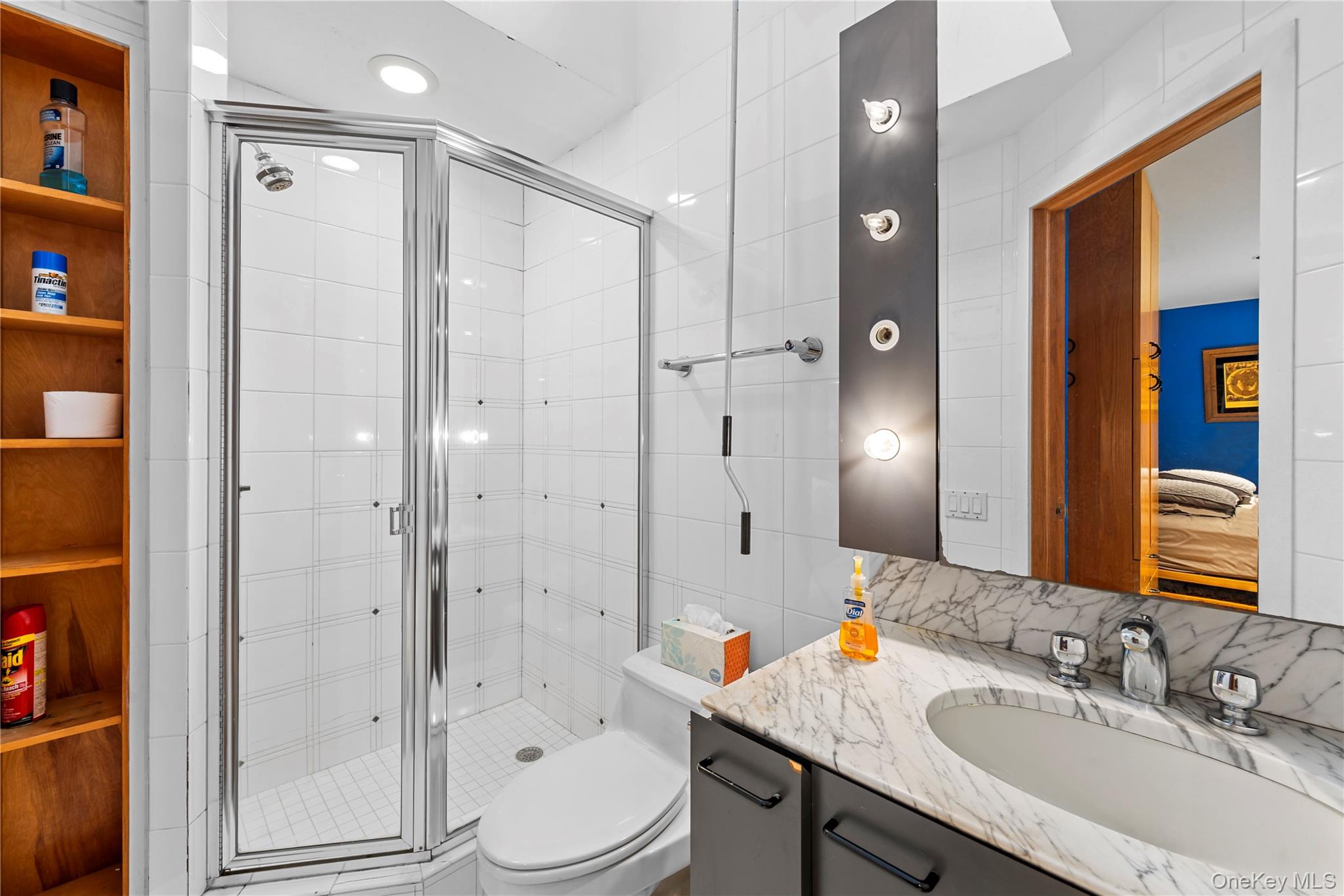 2829 Frankel Boulevard Merrick, NY 11566 - Photo 34 of 46 a bathroom with a granite countertop sink toilet a shower and a mirror