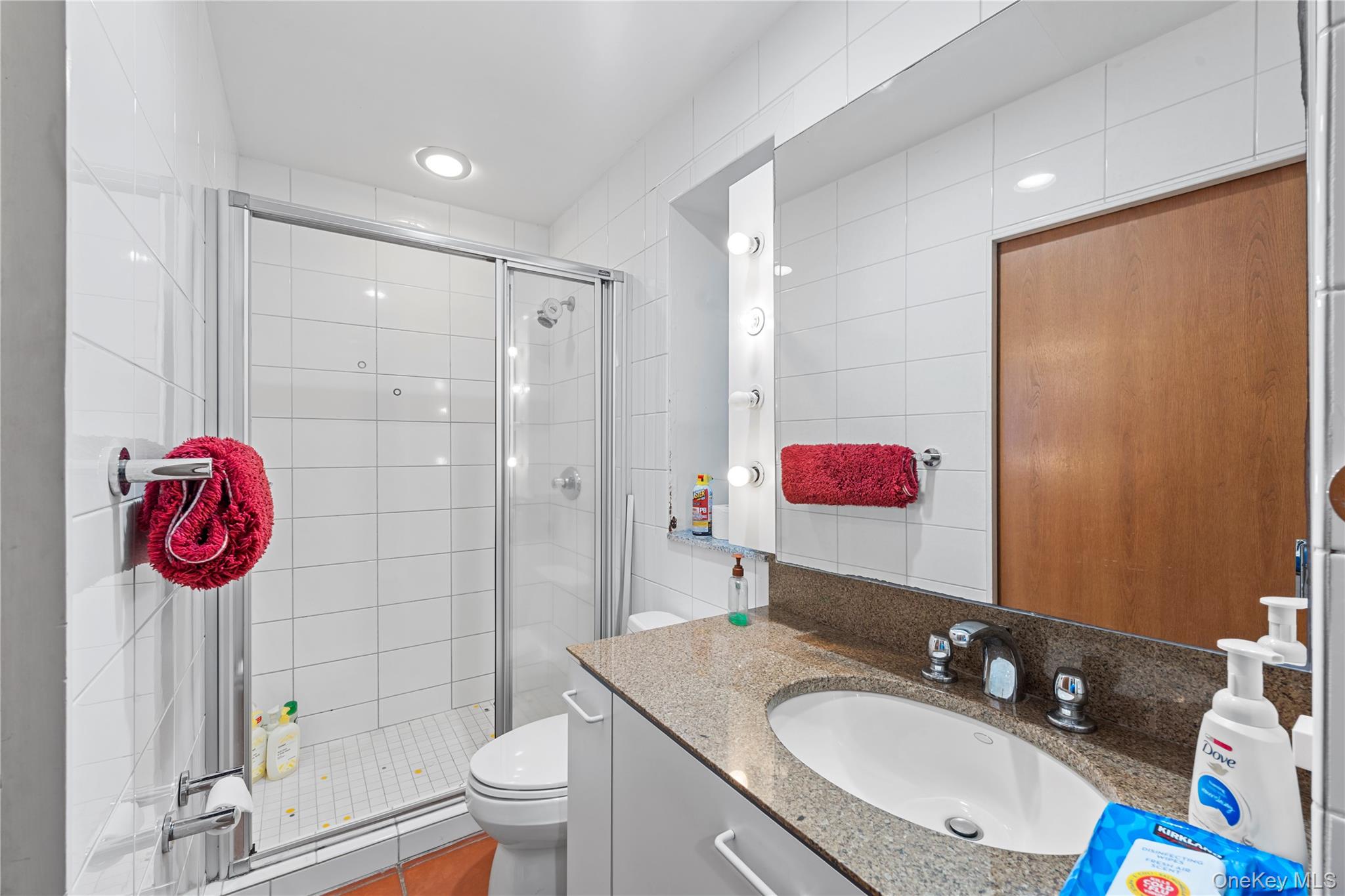 2829 Frankel Boulevard Merrick, NY 11566 - Photo 36 of 46 a bathroom with a sink toilet vanity and shower