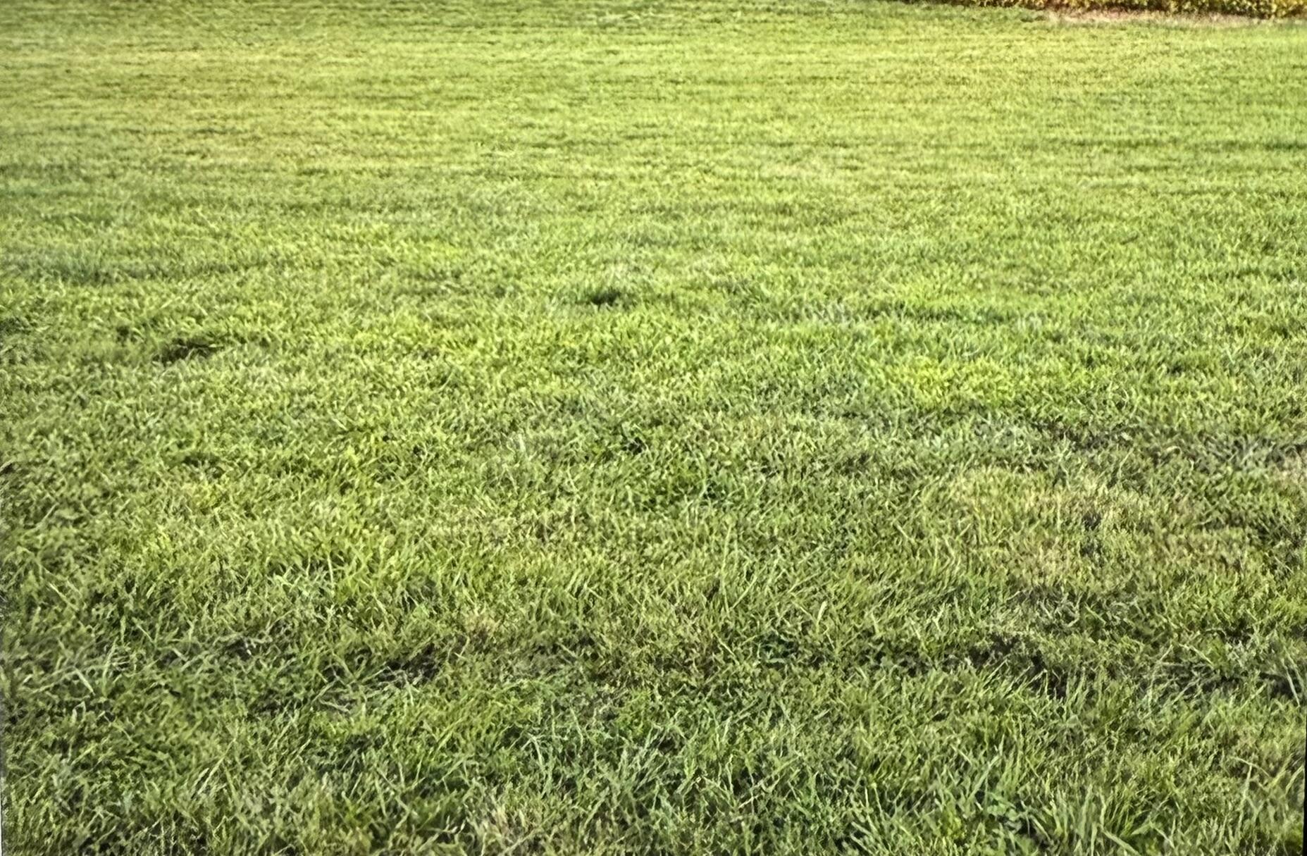 4386 South Laurel Road London, KY 40744 - Photo 10 of 35 Approximately 1.4 acres mowed