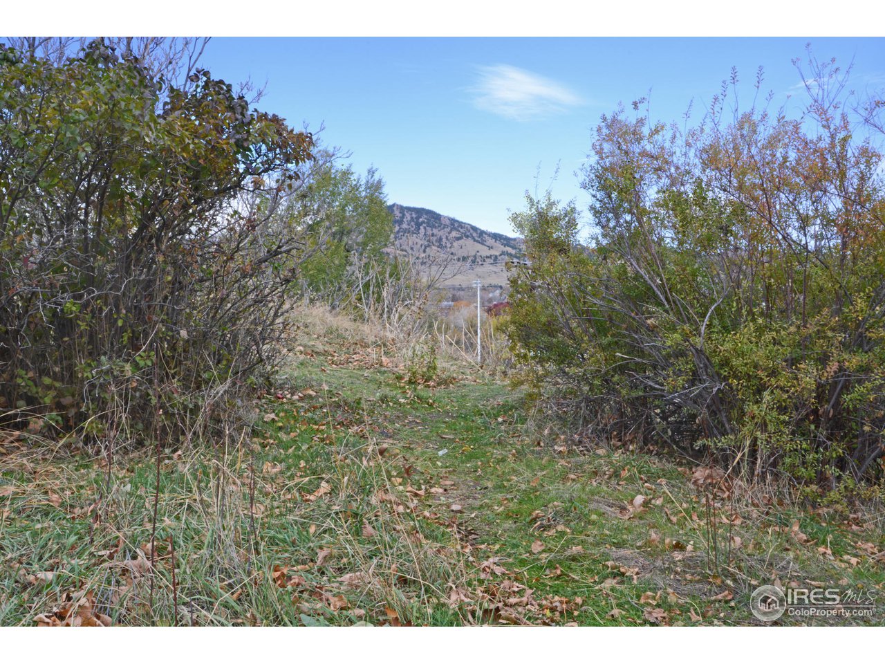 1590 Hillside Road Boulder, CO 80302 - Photo 13 of 25 a view of a yard