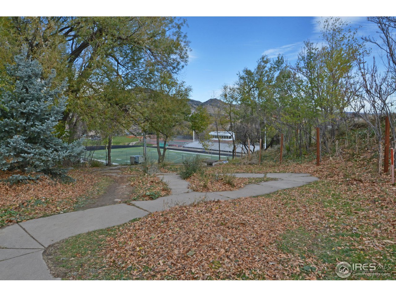 1590 Hillside Road Boulder, CO 80302 - Photo 24 of 25 a view of a yard with a tree