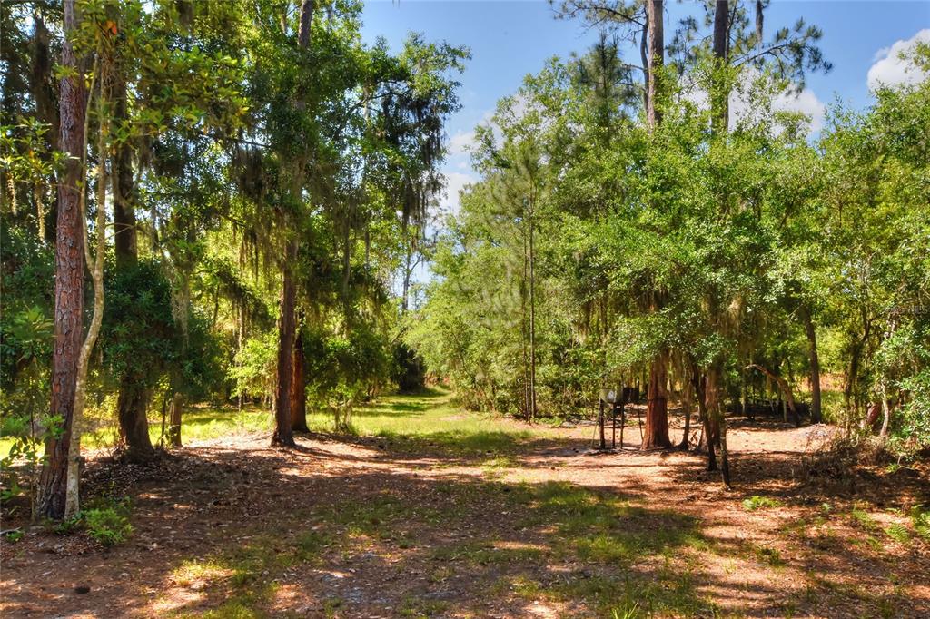 0 Lake Buffum Road West Fort Meade, FL 33841 - Photo 11 of 11
