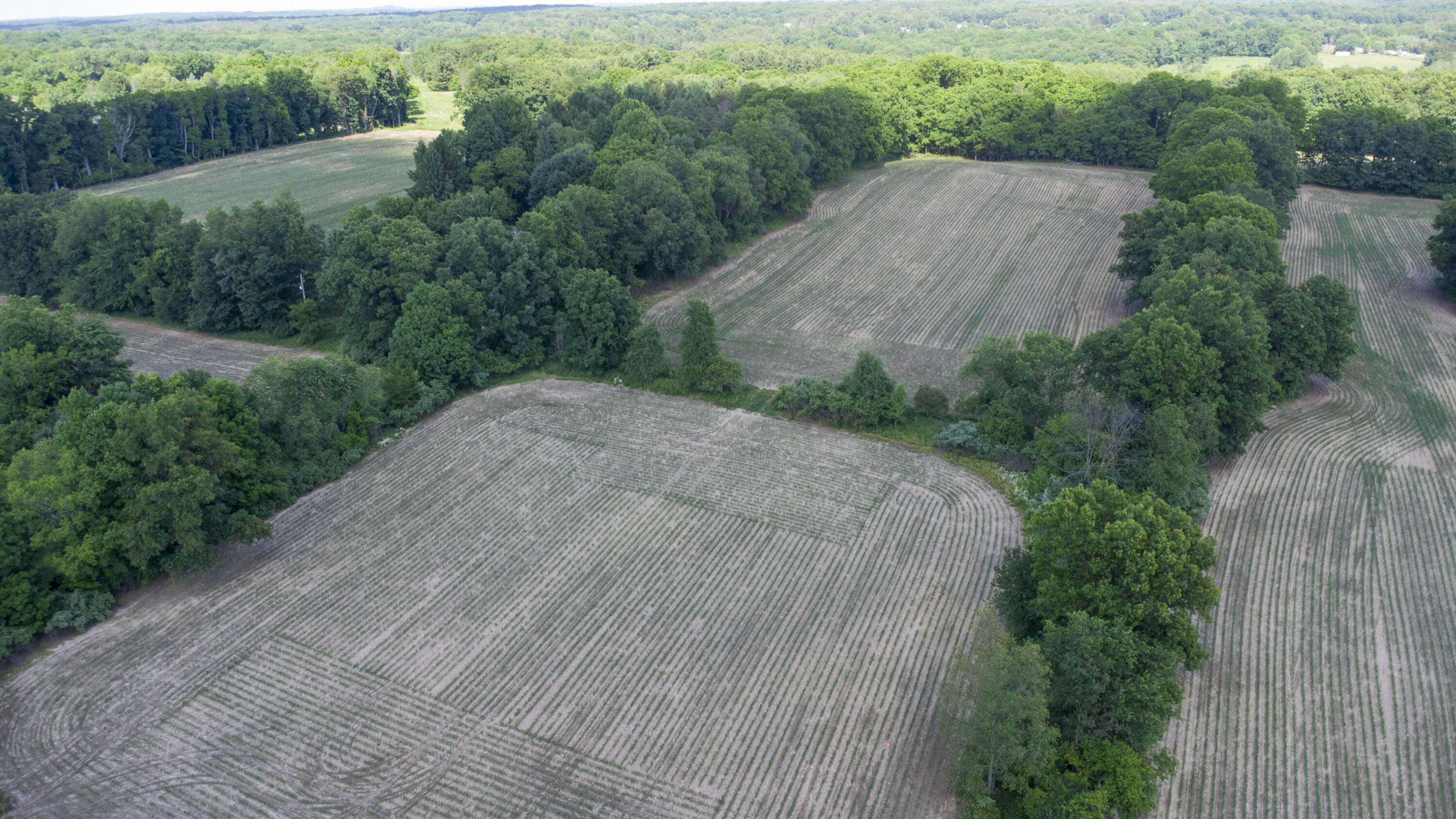 7114 Mabley Hill Road Fenton, MI 48430 - Photo 19 of 35 017_12