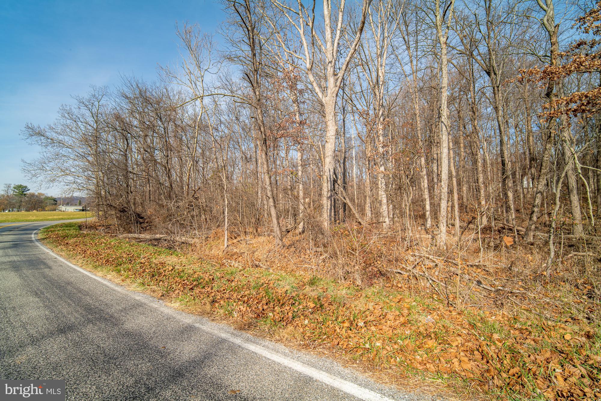 329 Mt Airy Road Lewisberry, PA 17339 - Photo 7 of 7 a view of a yard with large trees