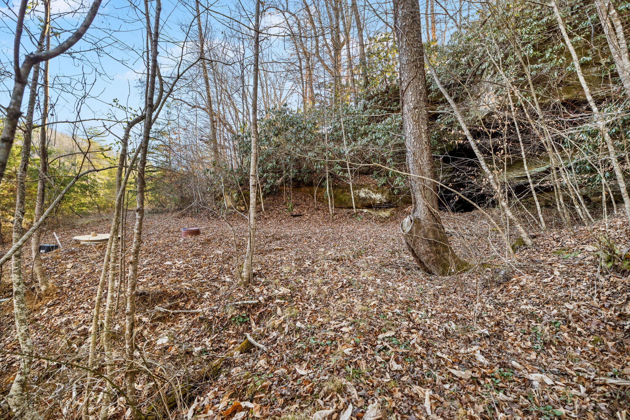 22 Still Hand Zoe, KY 41397 - Photo 50 of 76 66-web-or-mls-118A6314