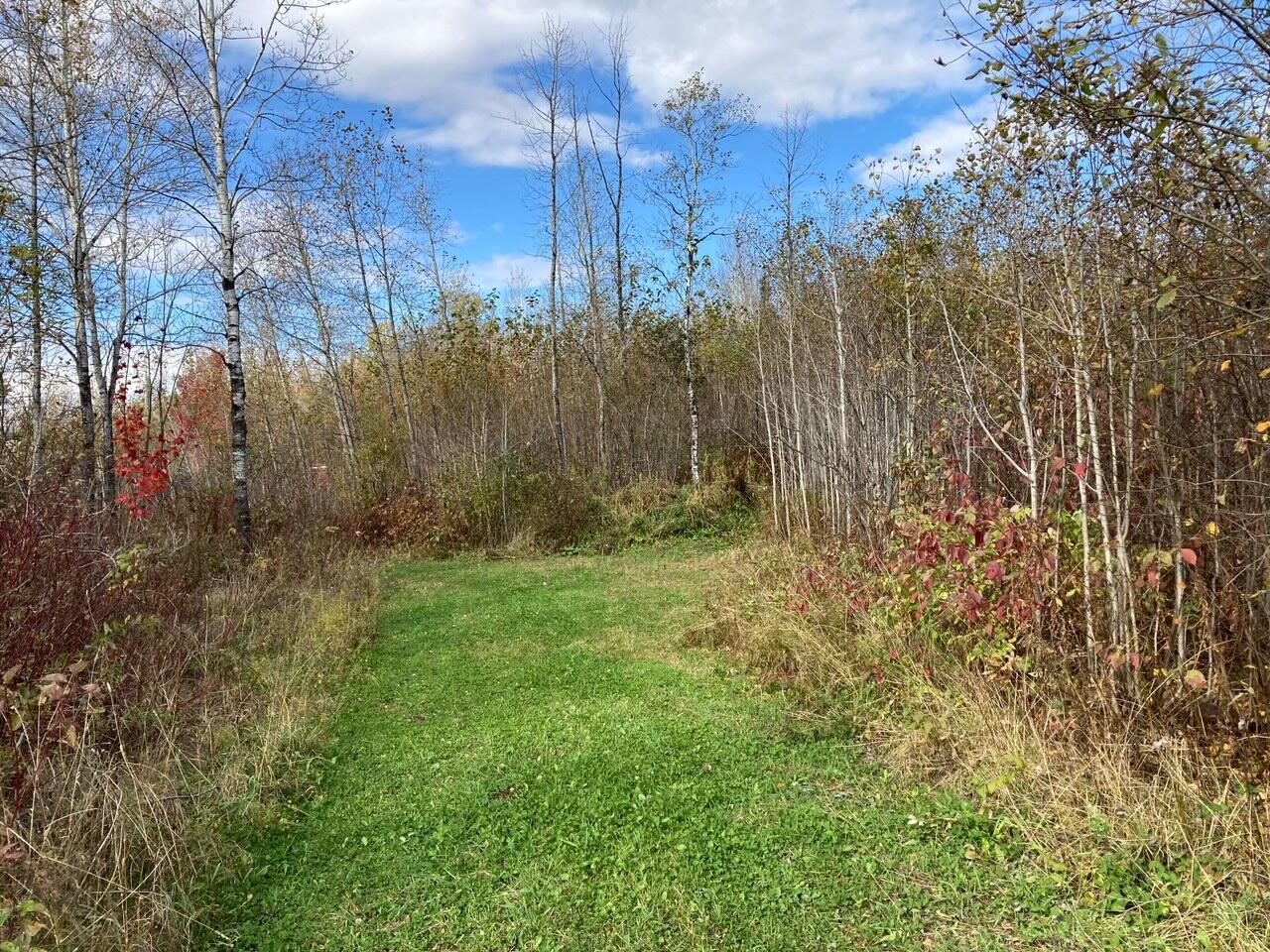 144 Bouchard Road St. Agatha, ME 04772 - Photo 32 of 36 Garden Path-Second Driveway
