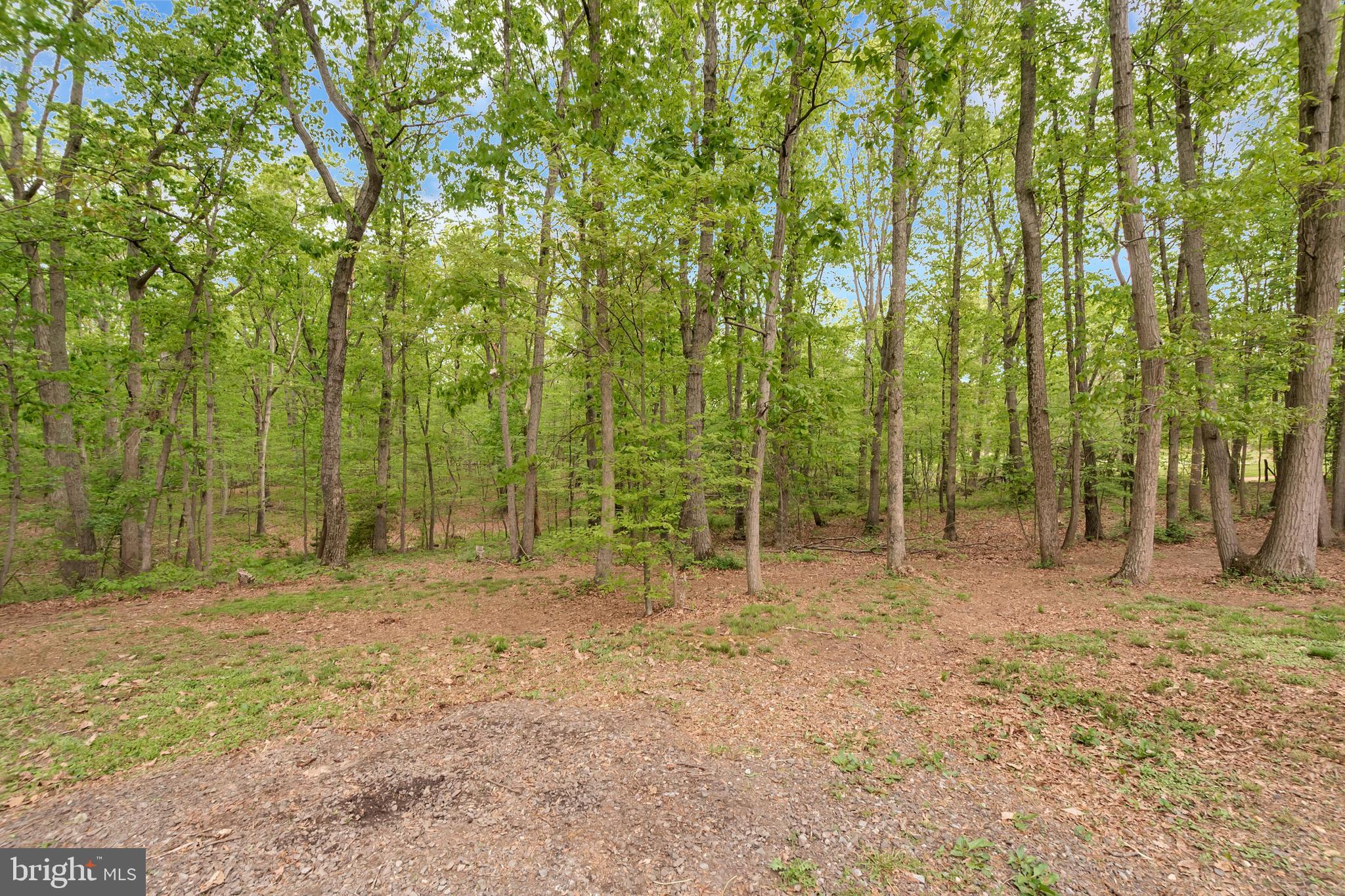 300 Granite Road Spotsylvania, VA 22553 - Photo 23 of 29 How about that for a view!