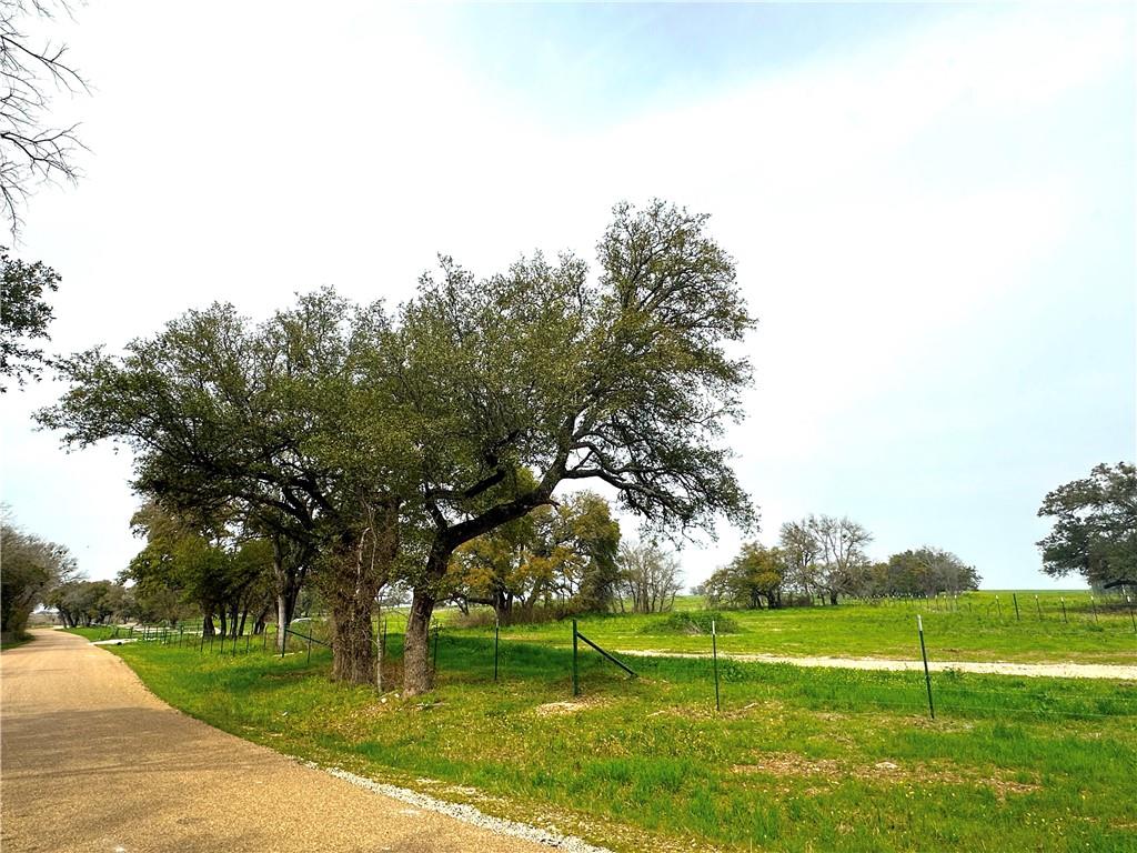 Sunset Ranch Tract 9 Cr 356 Road Gatesville, TX 76528 - Photo 7 of 11 a view of a park with large trees