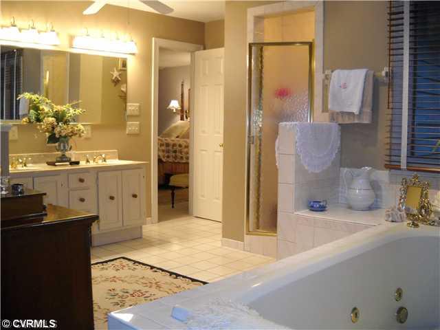 2911 Winterfield Road Midlothian, VA 23113 - Photo 9 of 12 Master Bath/Spa