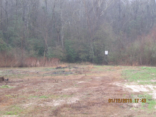 90 Pipeline Road McIntyre, GA 31054 - Photo 12 of 12 Additional Photo