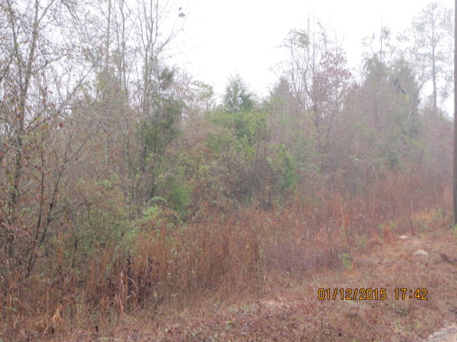90 Pipeline Road McIntyre, GA 31054 - Photo 10 of 12 Additional Photo