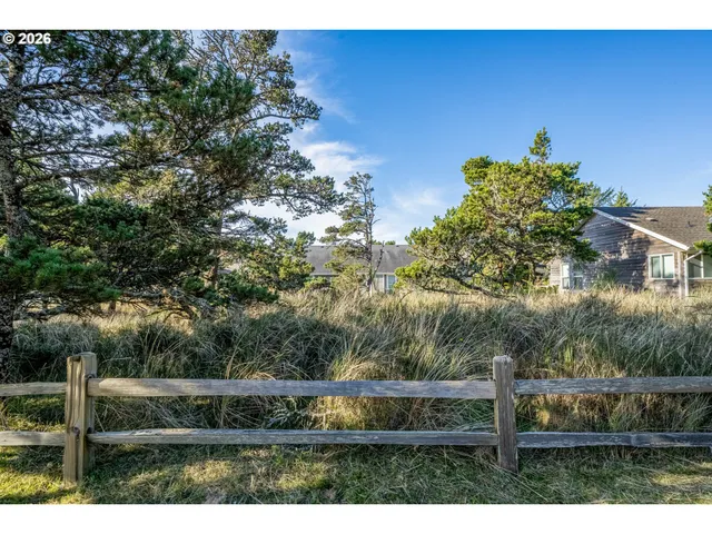 a view of a forest from a window