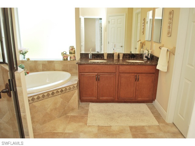 19612 Tesoro Way Fort Myers, FL 33967 - Photo 8 of 14 a bathroom with a sink a mirror and a bathtub