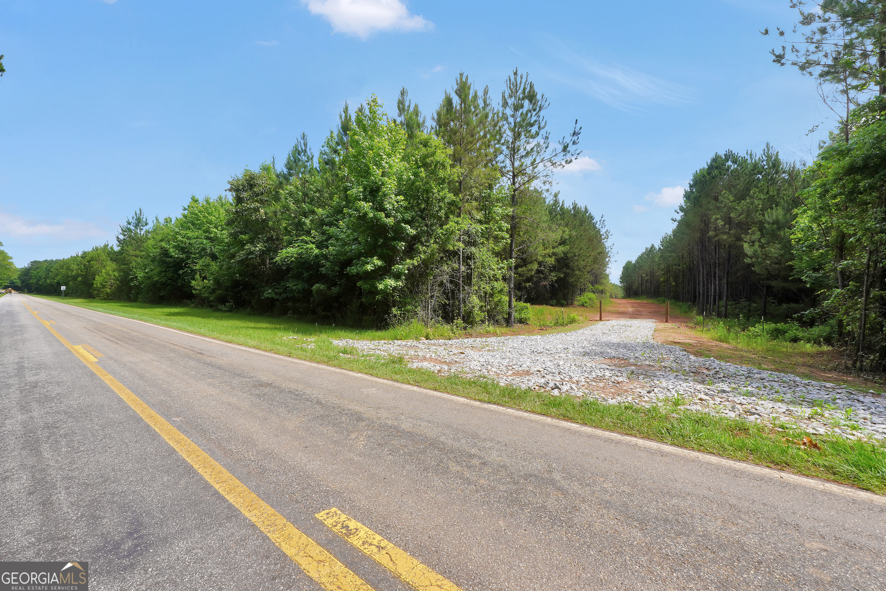 52.4-acres Goolsby Road, Unit 52 4 ACRES Monticello, GA 31064 - Photo 5 of 25
