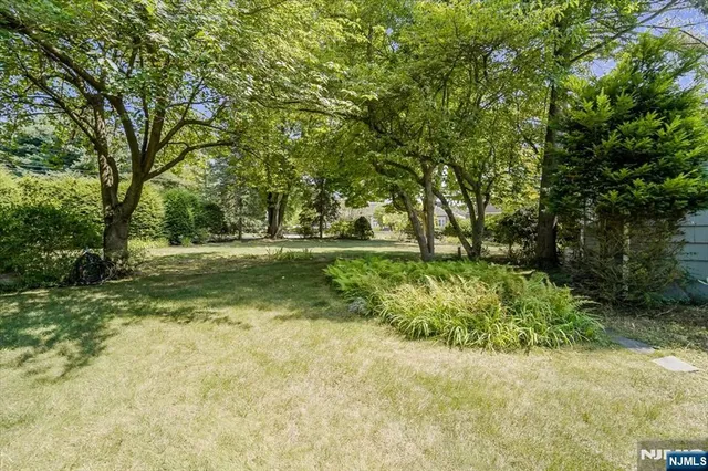 a view of outdoor space with trees all around