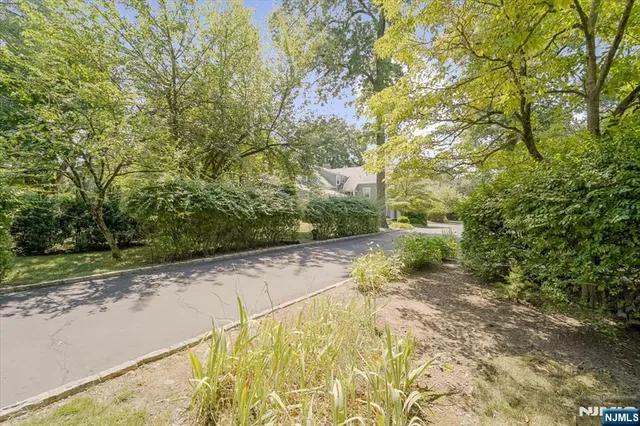 a view of a yard with plants and trees