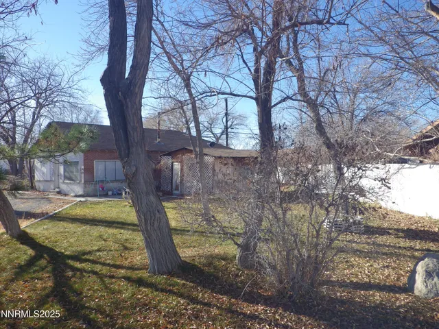 a view of a yard with large tree
