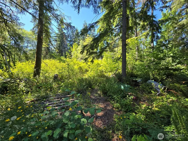 $69,900 | 351 West Haven Drive, Elma, WA 98541