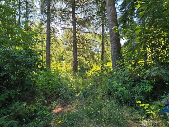 $69,900 | 351 West Haven Drive, Elma, WA 98541