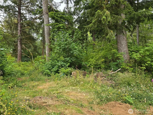 $69,900 | 351 West Haven Drive, Elma, WA 98541