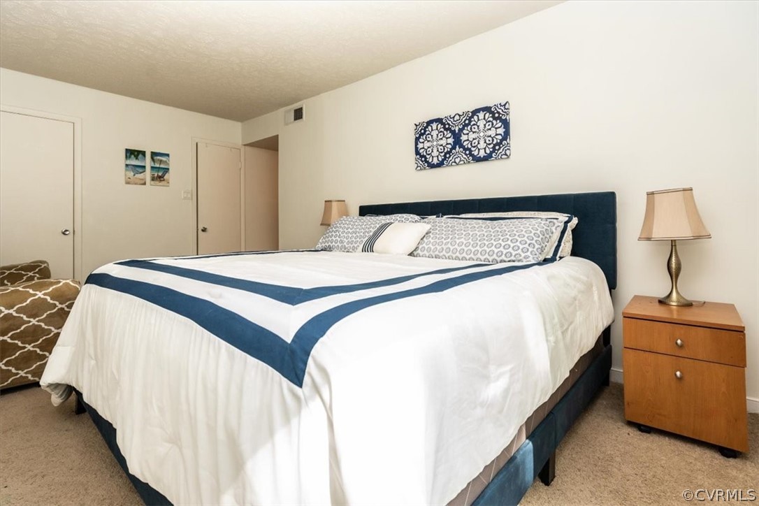 1507 Largo Road, Unit 303 Henrico, VA 23238 - Photo 14 of 40 Master Bedroom View 2
