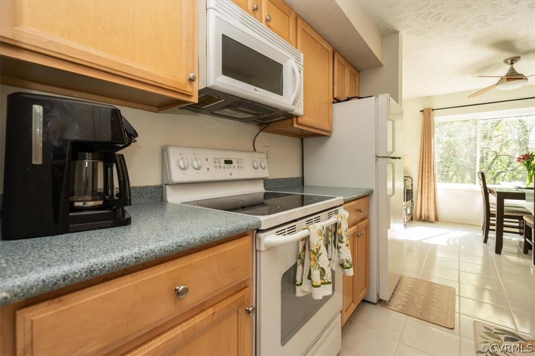 1507 Largo Road, Unit 303 Henrico, VA 23238 - Photo 10 of 40 Kitchen View 2