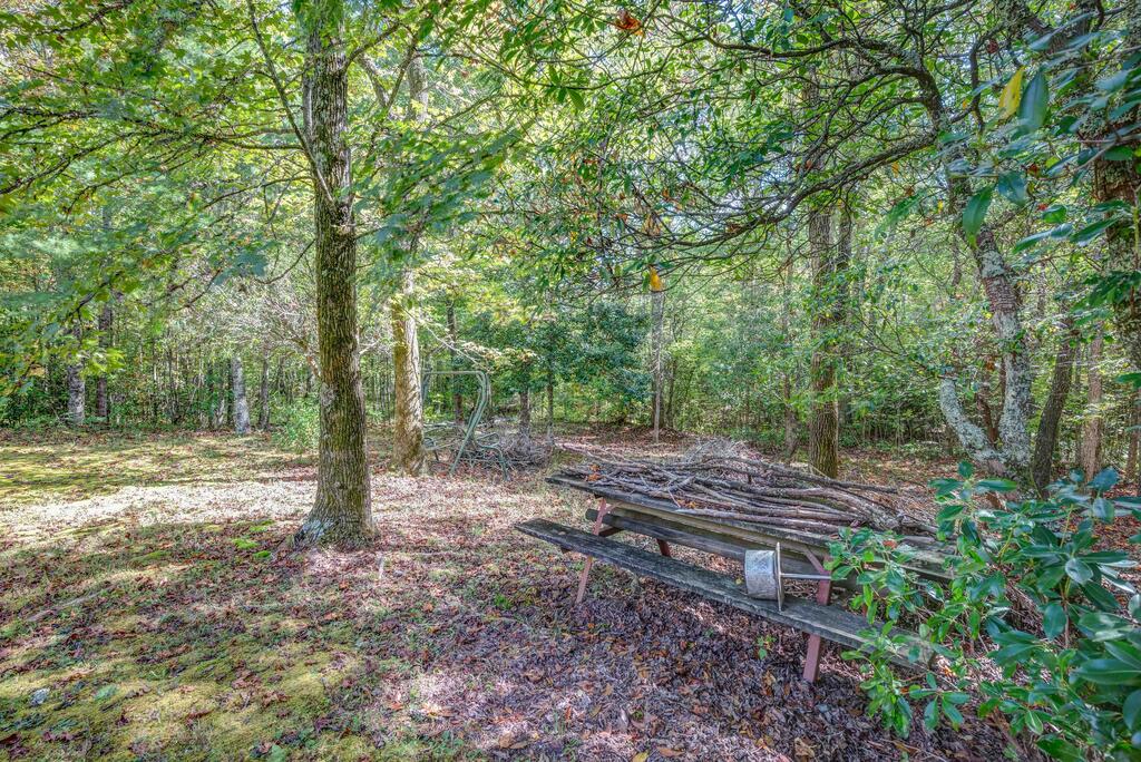 457 Johnson Cove Road Copperhill, TN 37317 - Photo 24 of 26 Gallery Image 24