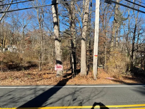 a view of a bird bath