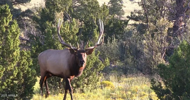 a view of a room next to a building