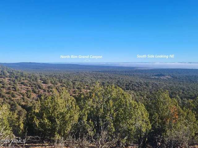 a view of a dry yard with mountains in the background