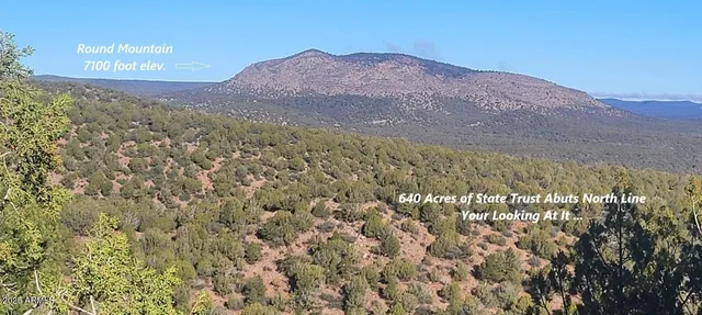 a view of a yard with a mountain