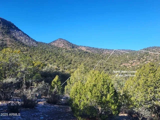 a view of a large building with a mountain in the background