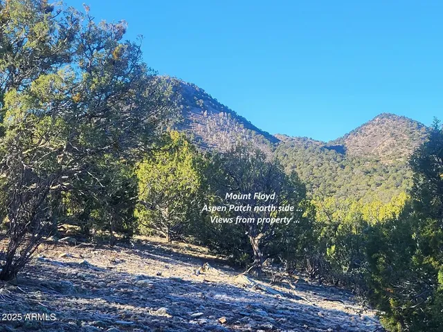a view of a yard with mountain