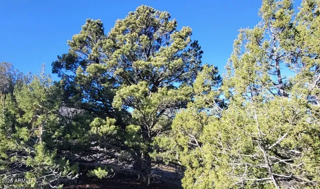 a view of a large building