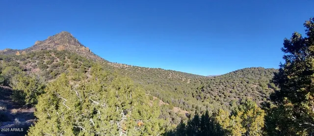 a view of mountain with a tree